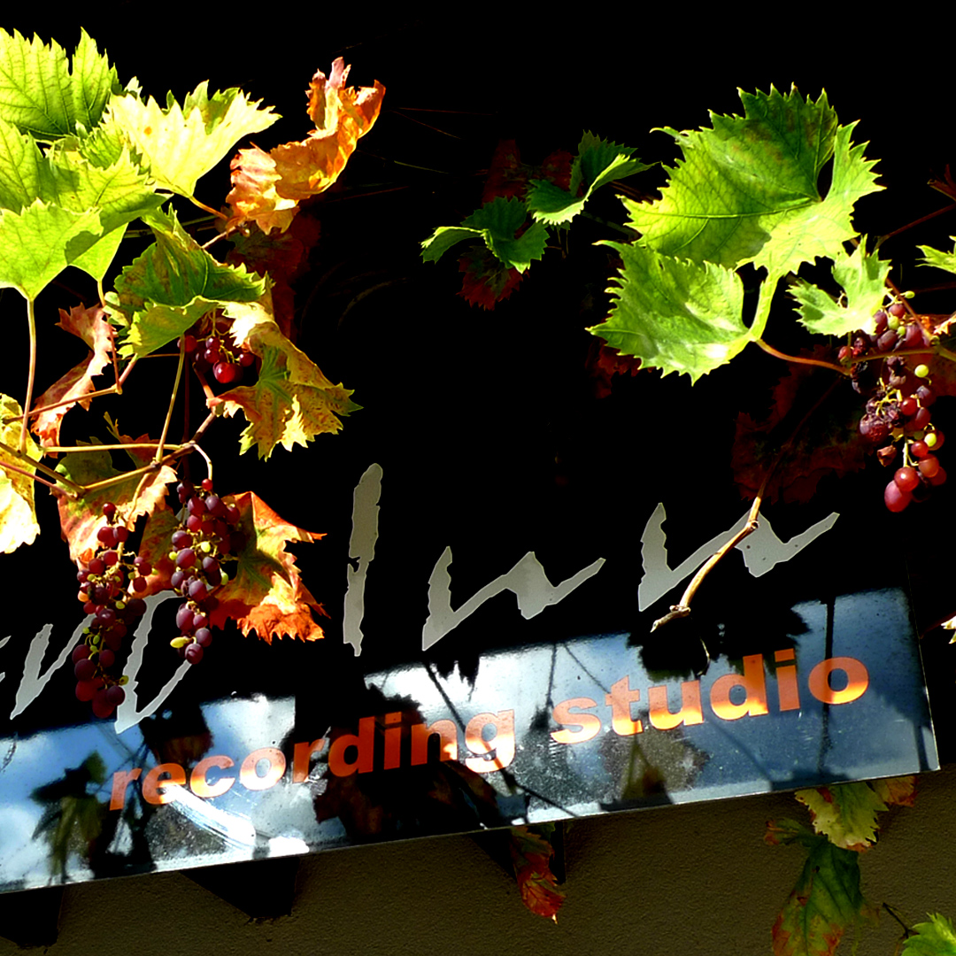  Desert Inn Studio Wine 