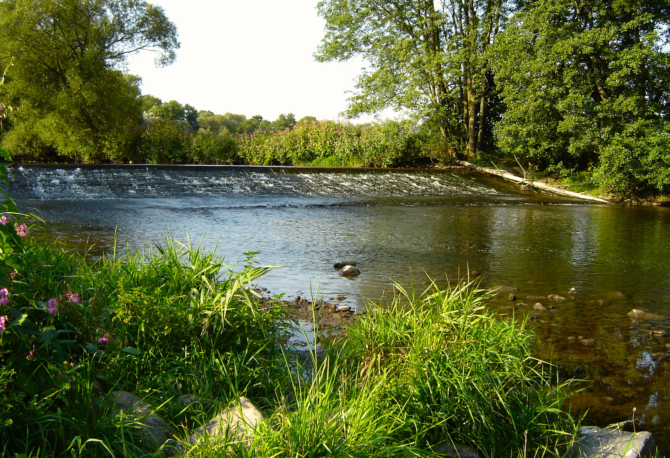  Desert Inn Flyfishing 